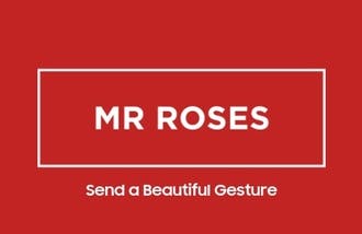 Mr Roses