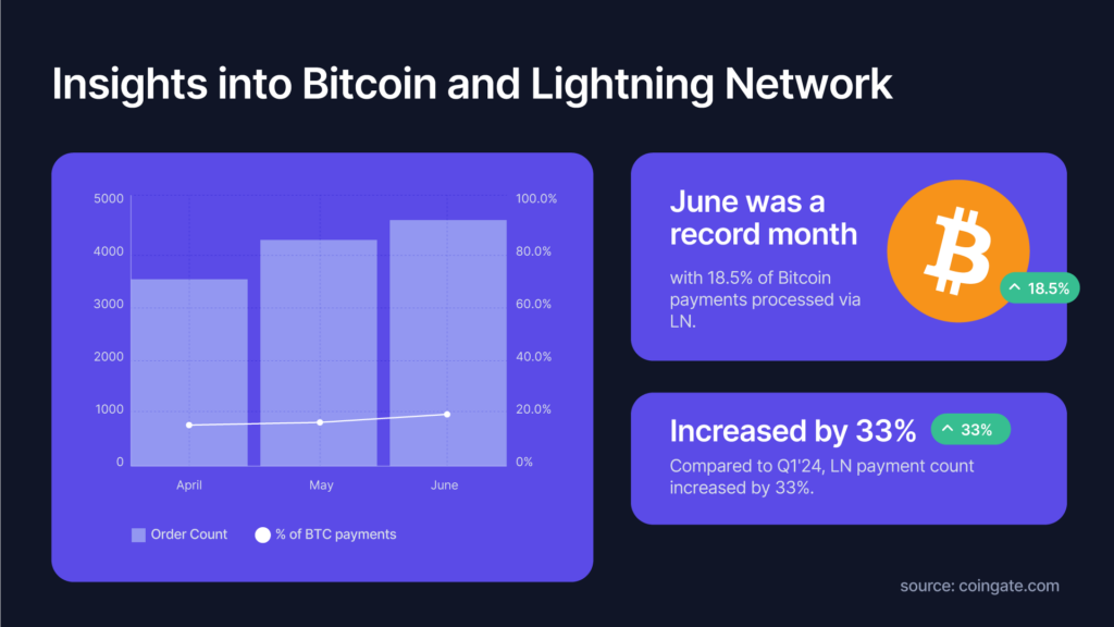 lightning network payment statistics 2024