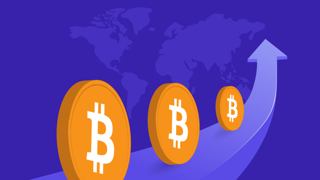 why adopt bitcoin motivations