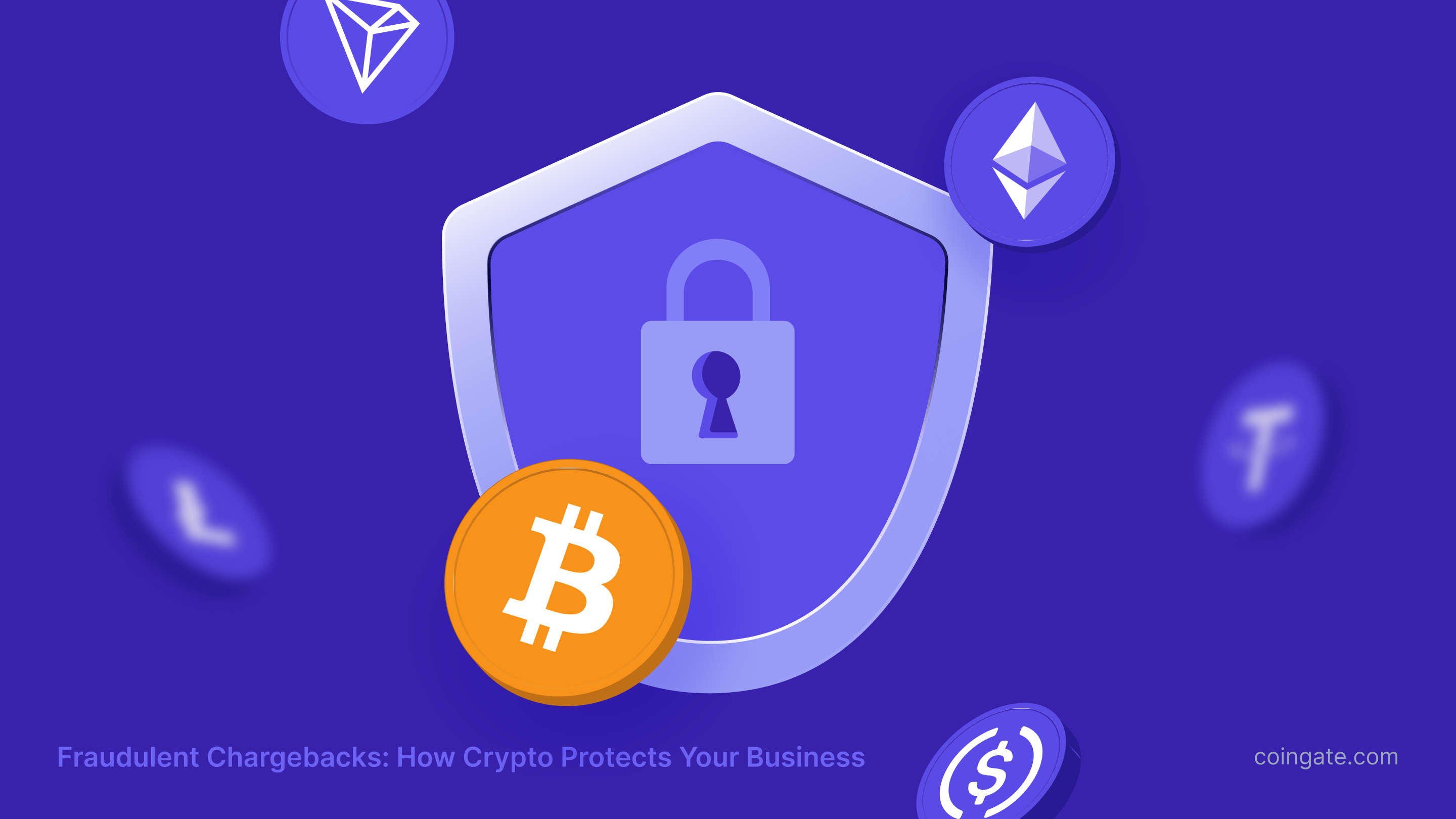 Fraudulent Chargebacks: How Crypto Protects Your Business